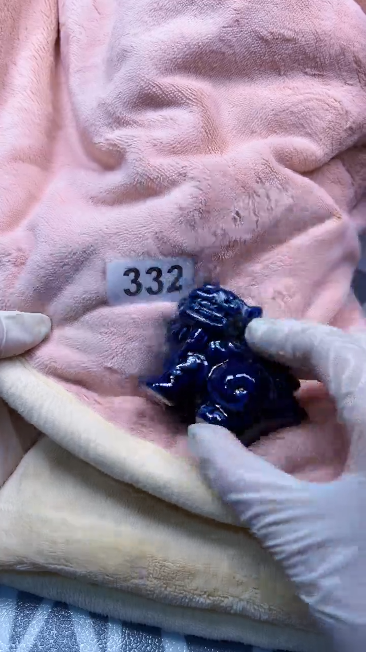 瓷片陶瓷如图所示周边