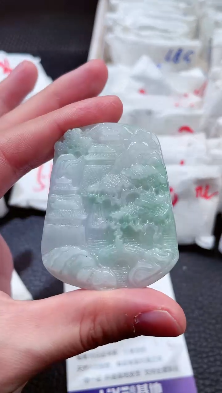 【闪购商品】翡翠未镶嵌颈饰00003595