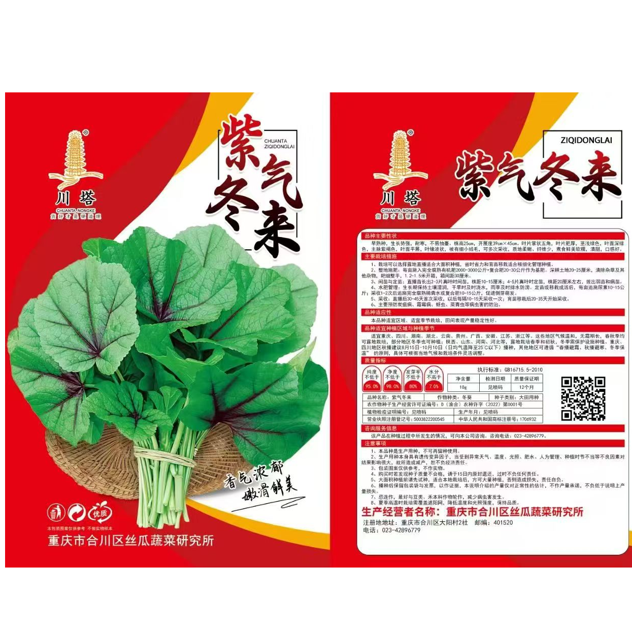 紫气冬来冬寒菜种子营养丰富口感滑糯 精品种子 大棚蔬菜种子