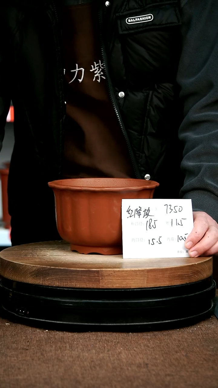 紫砂花盆花卉园艺7350