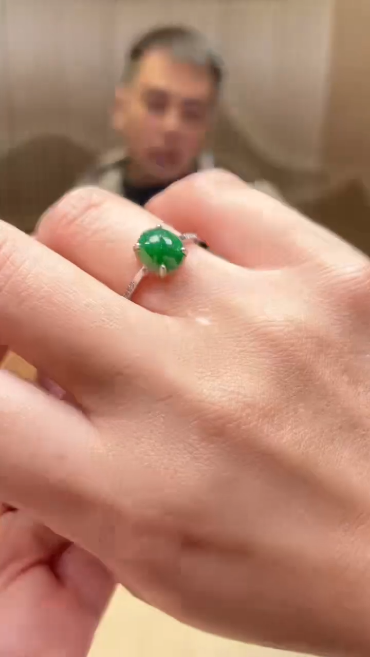 【闪购商品】翡翠颈饰未镶嵌      *37