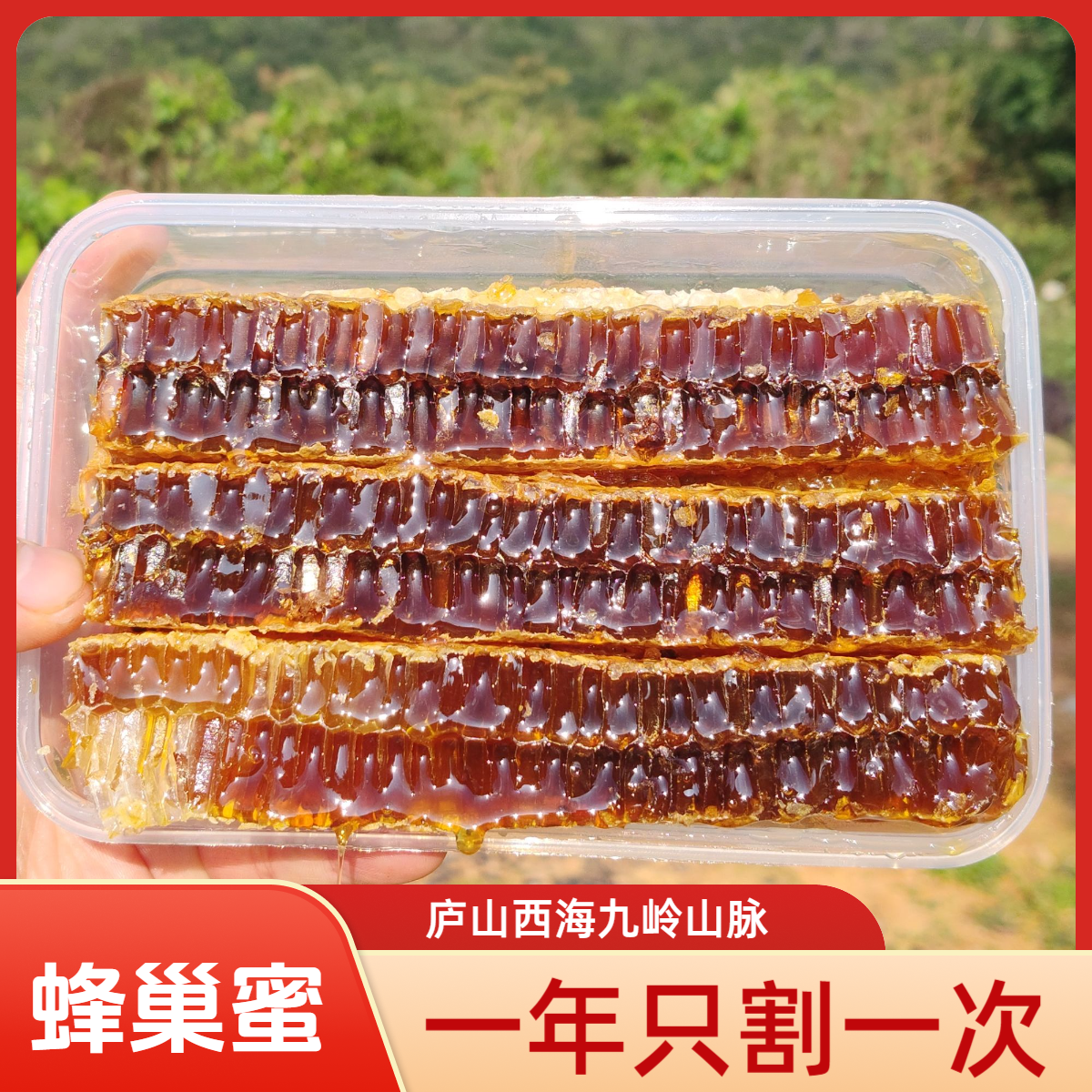 【现切现装】蜂巢蜜嚼着吃庐山西海中蜂蜜纯正宗农家一年一割