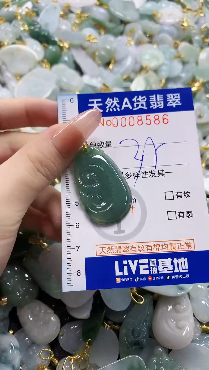 颈饰未镶嵌翡翠天然A货翡翠