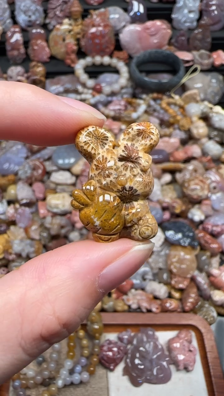 颈饰未镶嵌硅化珊瑚（珊瑚玉）625