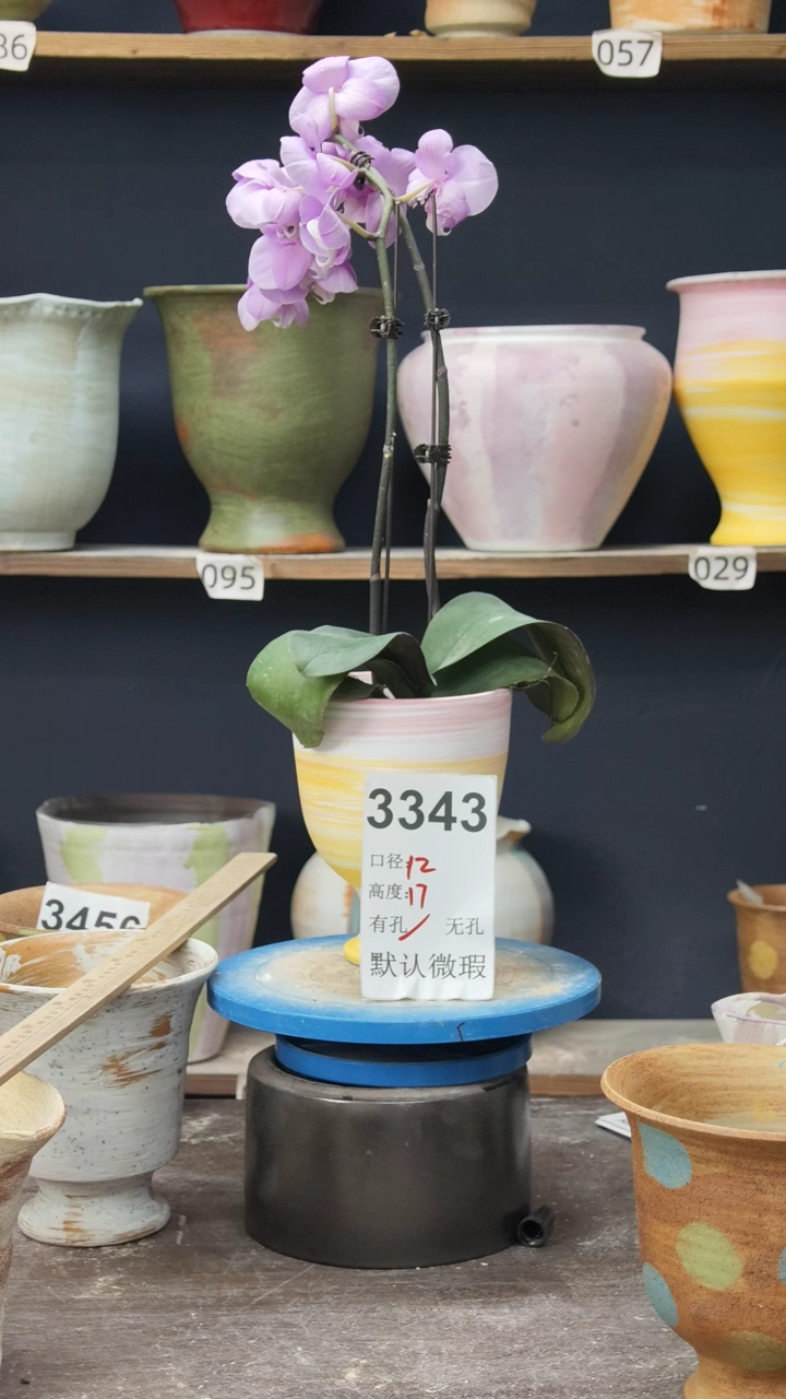 景德镇花盆默认微瑕3343