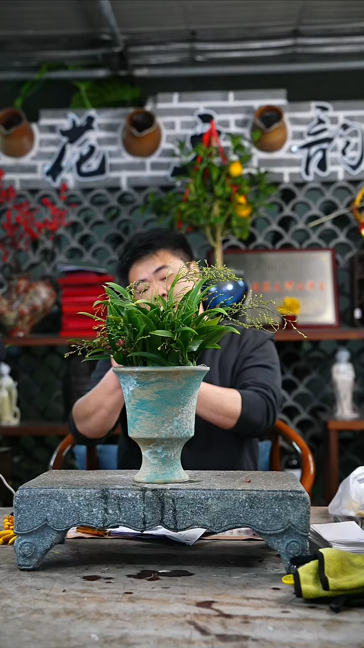 完全开放梦香兰261+