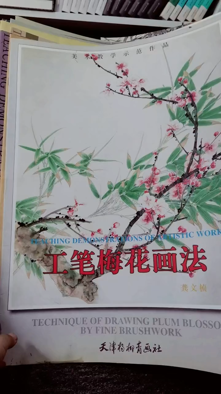 工笔梅花画法4开微瑕