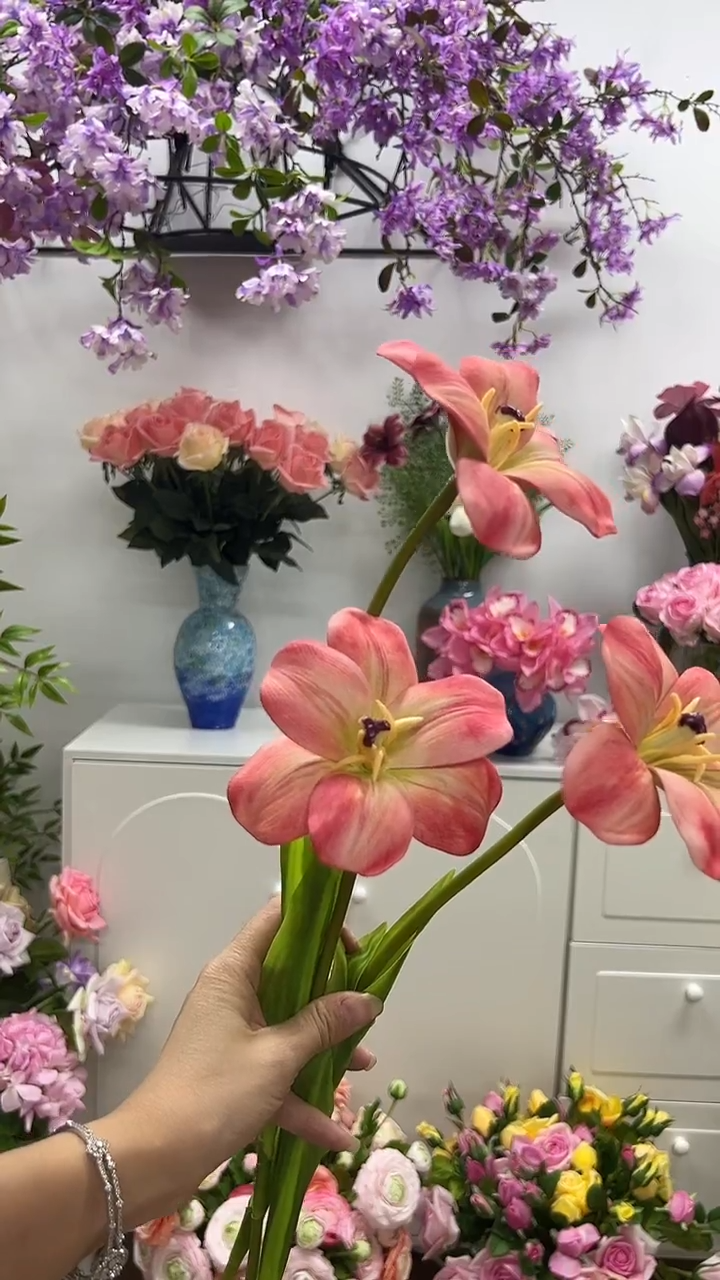 3枝橘粉布朗尼郁金香