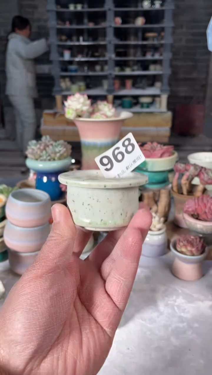 瓷片968小芳直播编号