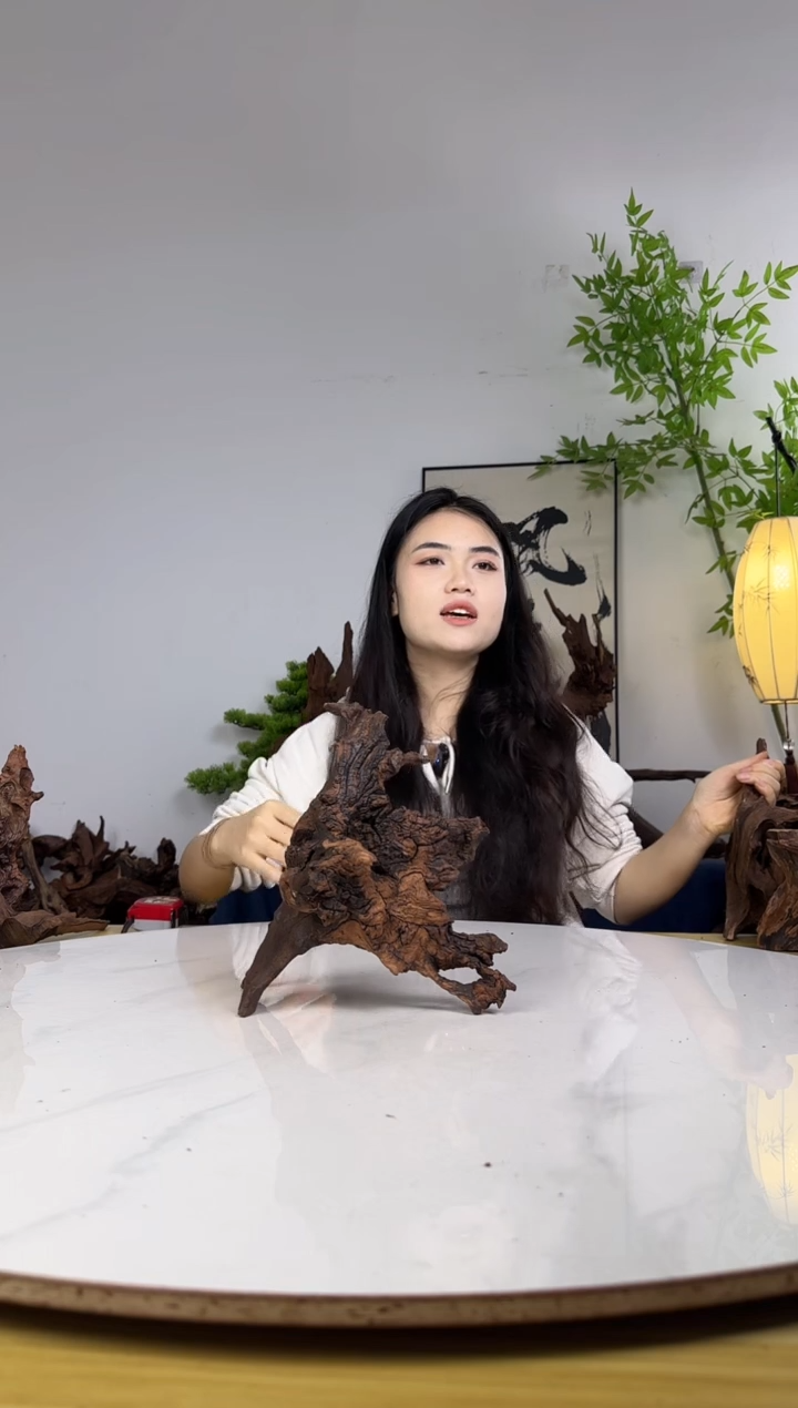 那****涼拍沉木定向链接编号9