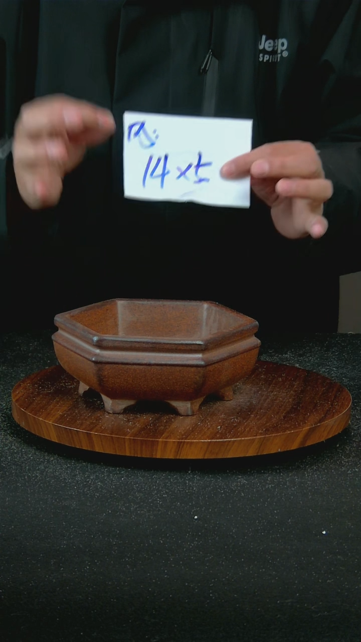 【闪购商品】紫砂P57