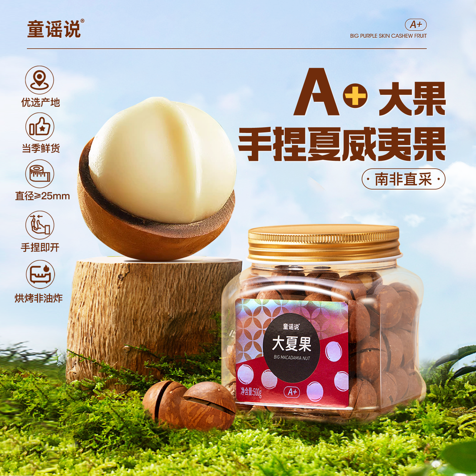 童谣说 A+大果 手捏夏威夷果 南非直采坚果500g/罐 330度环形开口