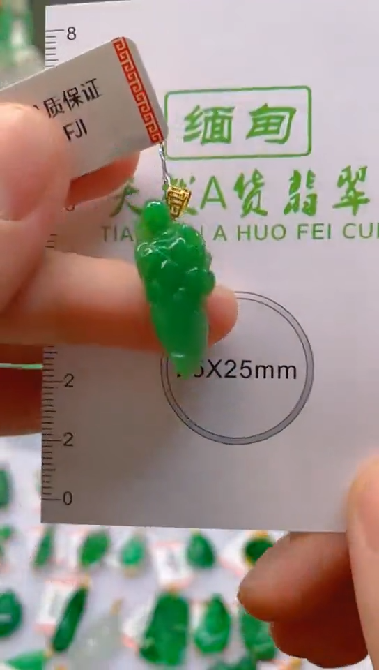 【闪购商品】翡翠颈饰18K金镶嵌新号开播，全场乱卖