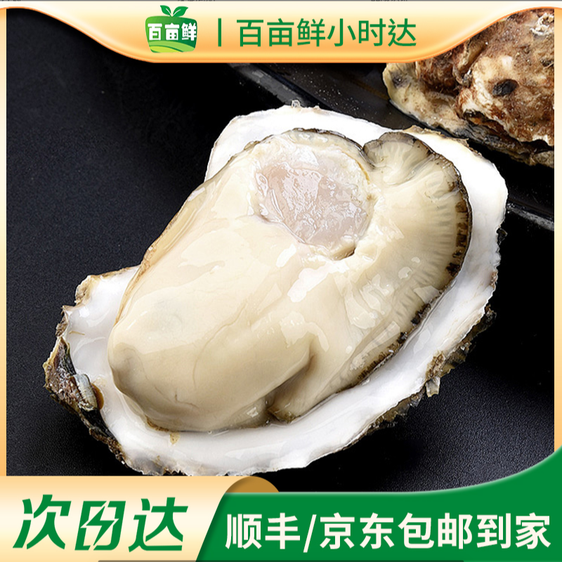 乳山生蚝1.5-2两 两斤装（福利款）