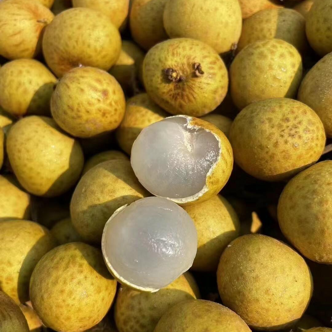 泰国原箱进口金标龙眼爆甜新鲜当季水果孕妇水果次日达【顺丰速运】