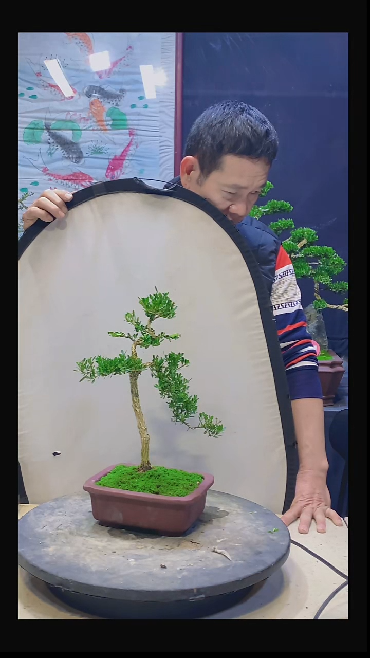无花朵大*11111111111