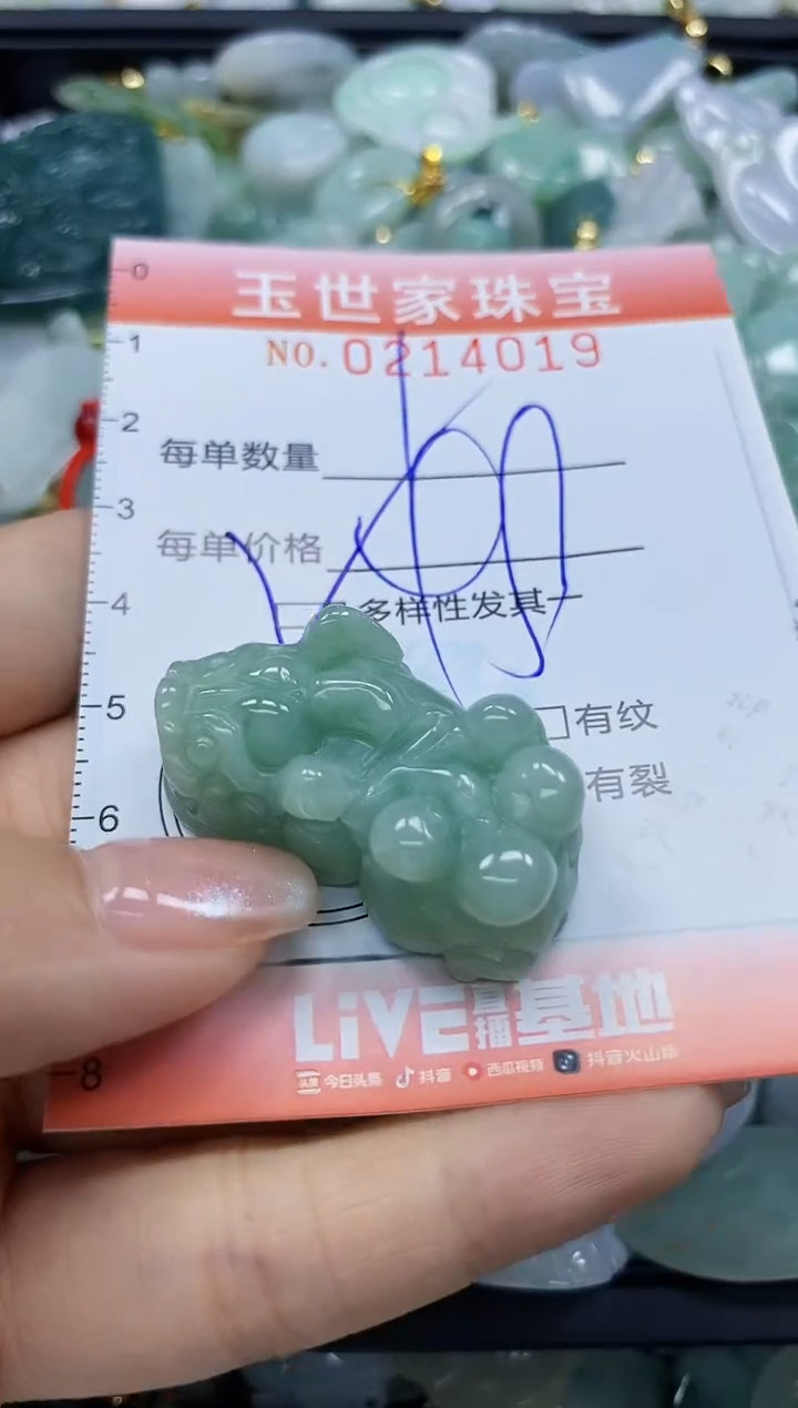 【闪购商品】翡翠未镶嵌颈饰闪购0214019多样性发其一