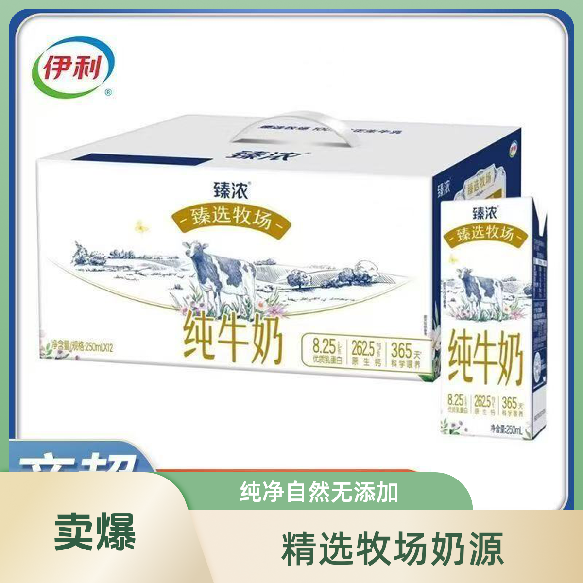 【7月产喝到1月】产伊利臻浓甄选纯牛奶250ml*12盒/提 新包装  京东次日达