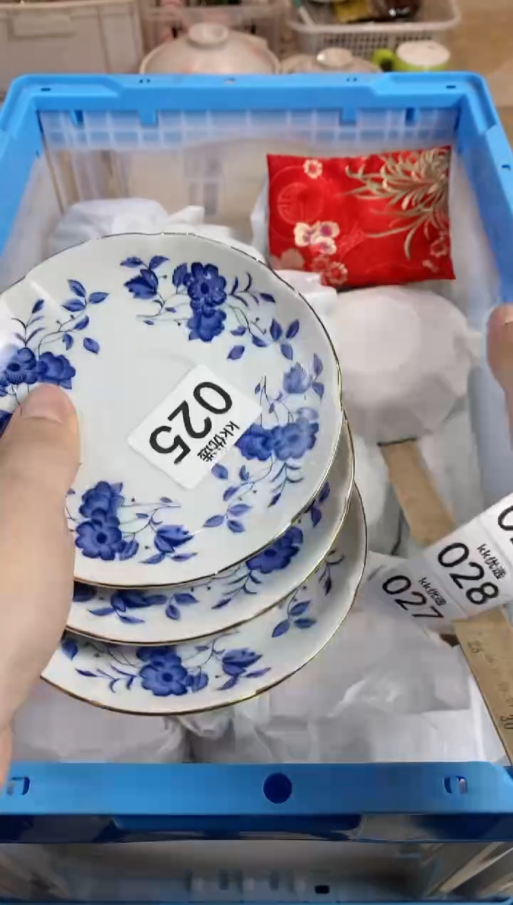 【闪购商品】瓷片025定向 静静定向 静静定向 静静