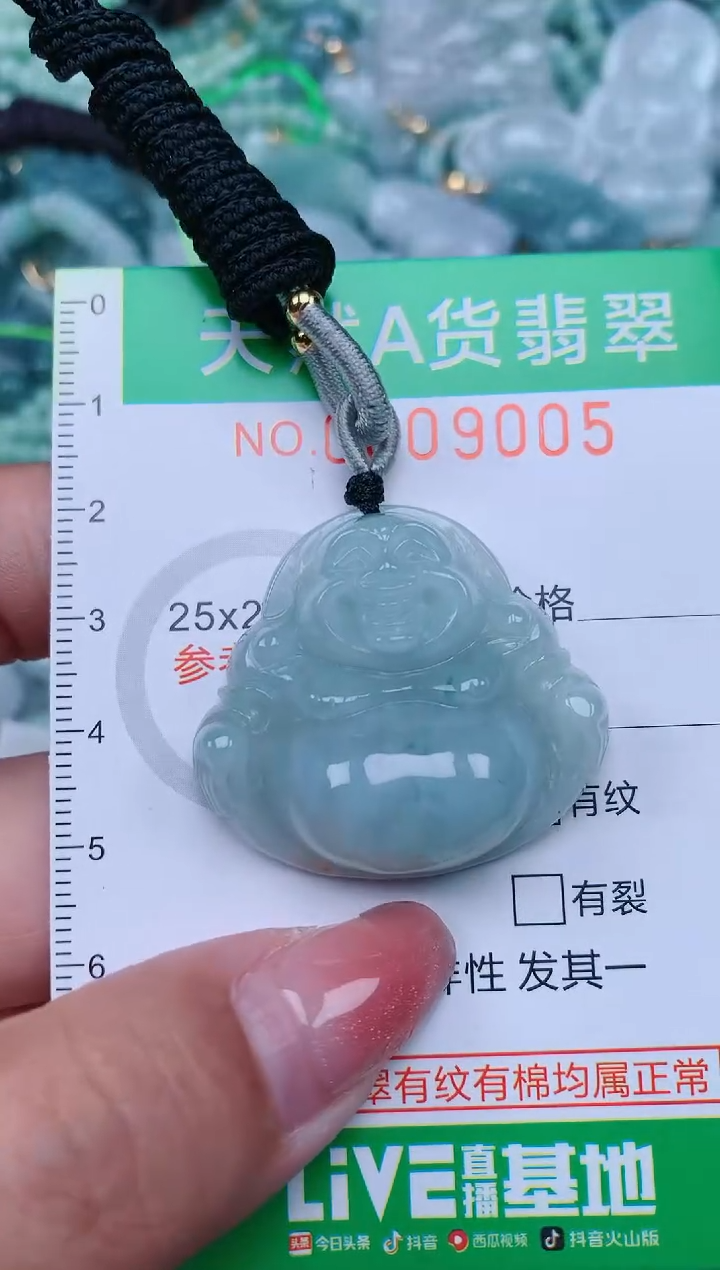 【闪购商品】翡翠颈饰未镶嵌.0009005
