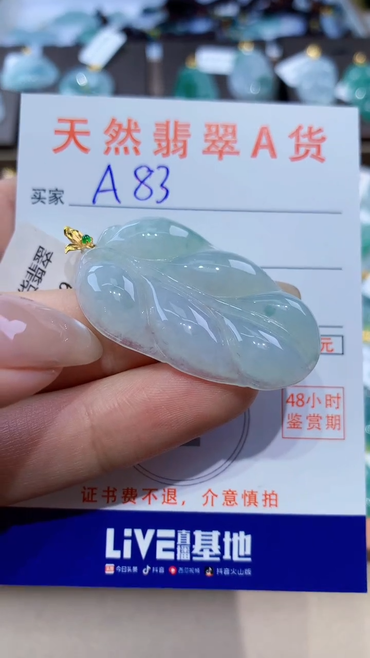 颈饰未镶嵌翡翠天然翡翠A货挂件