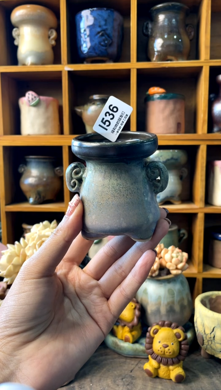 536内口5【多肉花盆多肉盆】