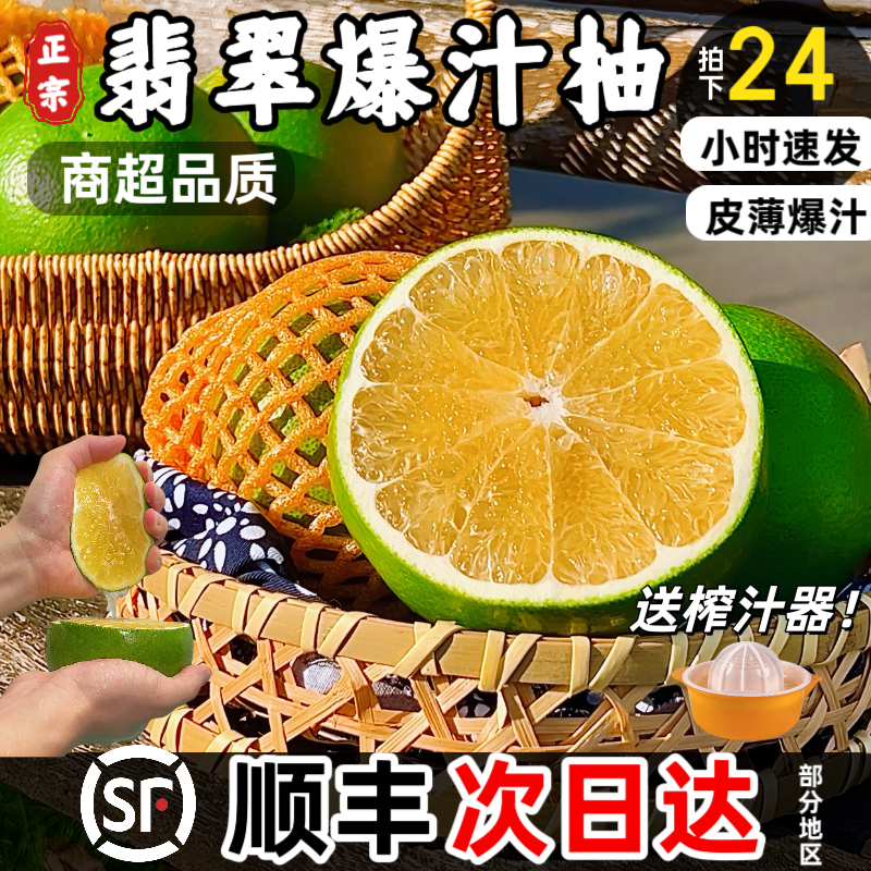 正宗翡翠爆汁柚新鲜采摘绿宝石青柚现摘蜜柚孕妇水果产地直发