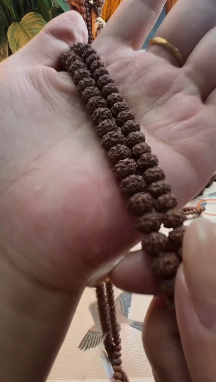 金刚菩提手串702平细飞碟