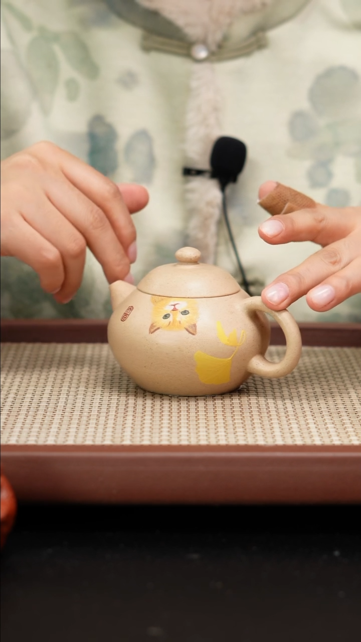 【闪购商品】紫砂茶壶白段文旦泥绘160