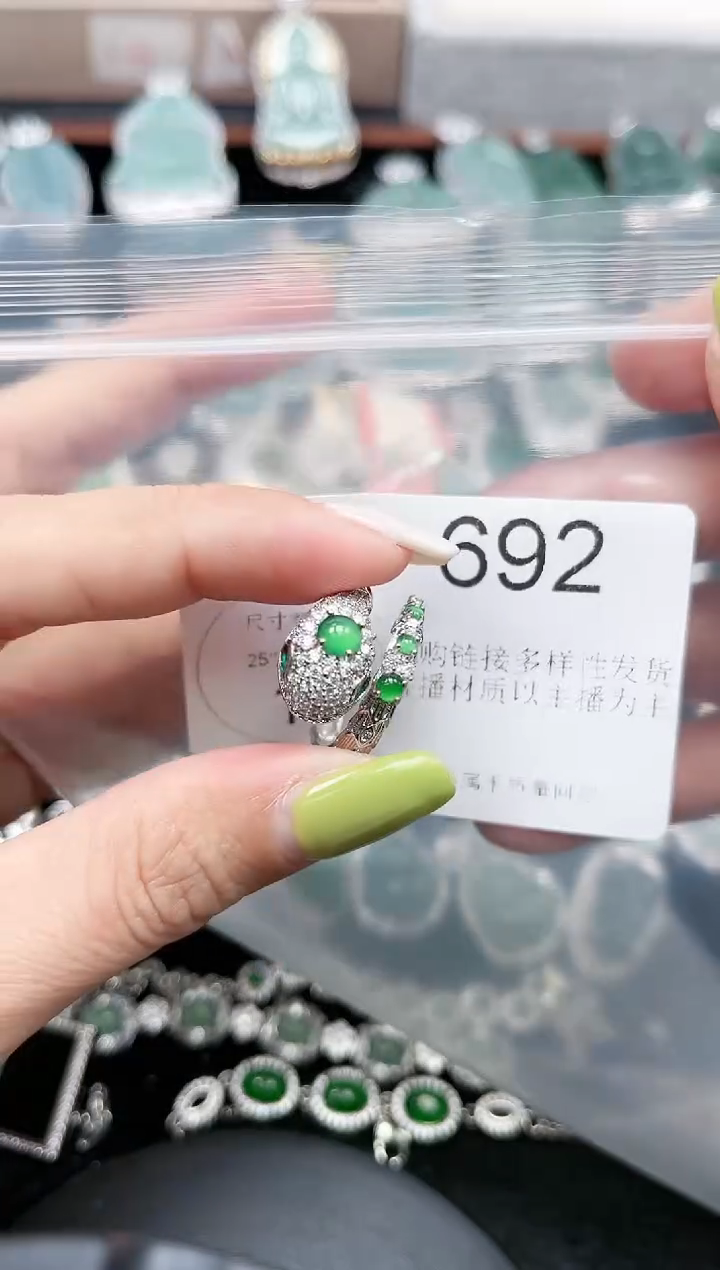 【闪购商品】翡翠颈饰未镶嵌692赠皮绳