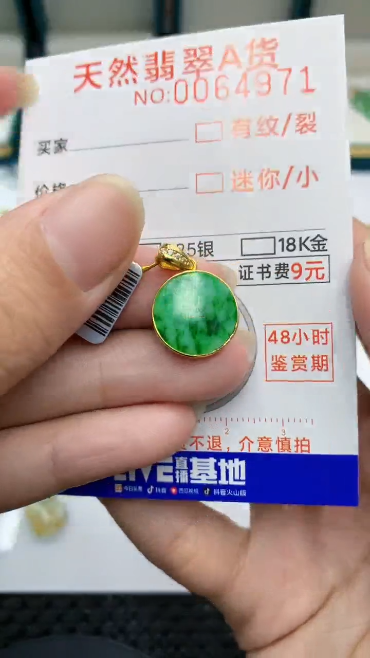 【闪购商品】翡翠颈饰银S925镶嵌            8