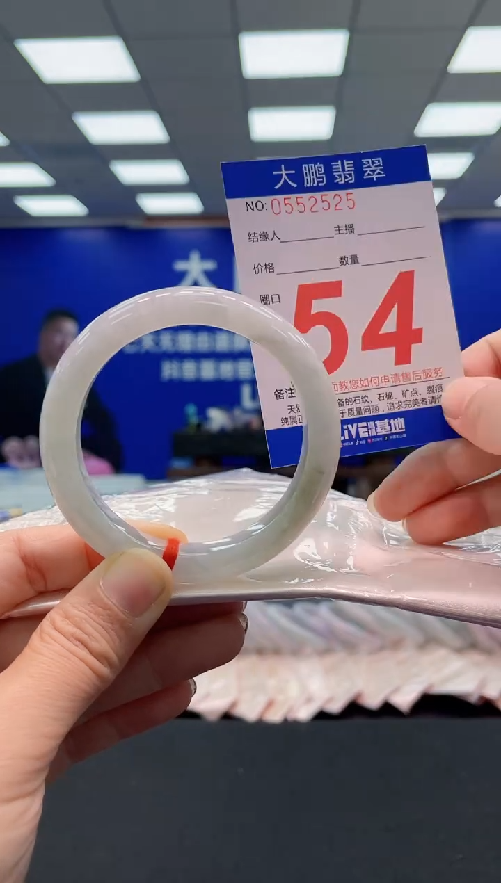 未镶嵌手镯翡翠AAAAAAAAA