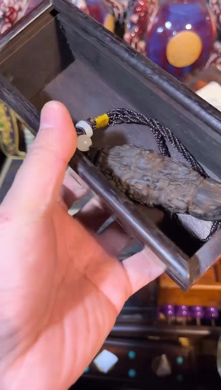 黄杨木1111111111111111111111