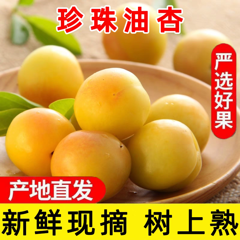 【六月上新山东油杏】山东杏子口感好汁水足一箱约四斤杏同城配送杏子同城送山东省