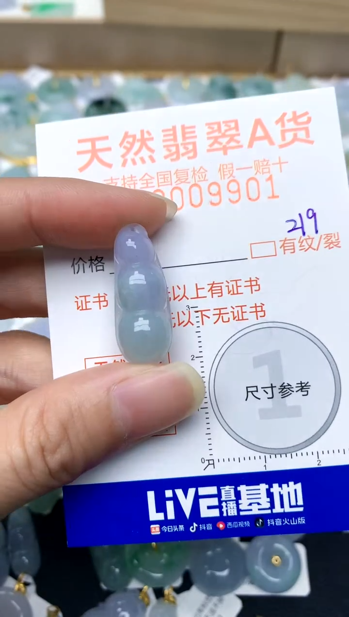 【闪购商品】翡翠颈饰未镶嵌219天然A货翡翠