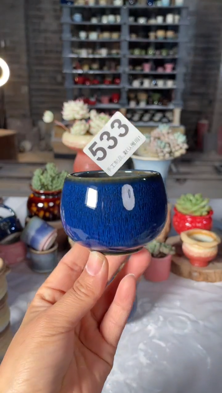瓷片533小芳直播编号