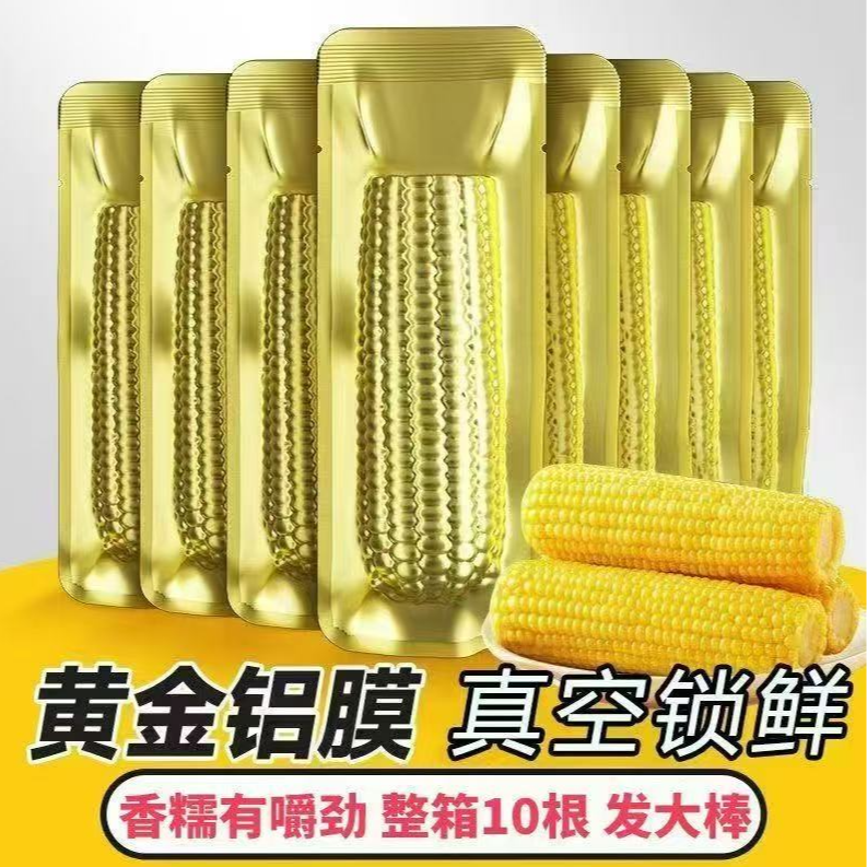 2025新玉米东北黄糯玉米粘拉丝甜糯玉米10支真空包装试吃2支