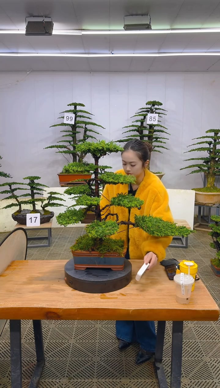 无花朵一物一拍一物一拍