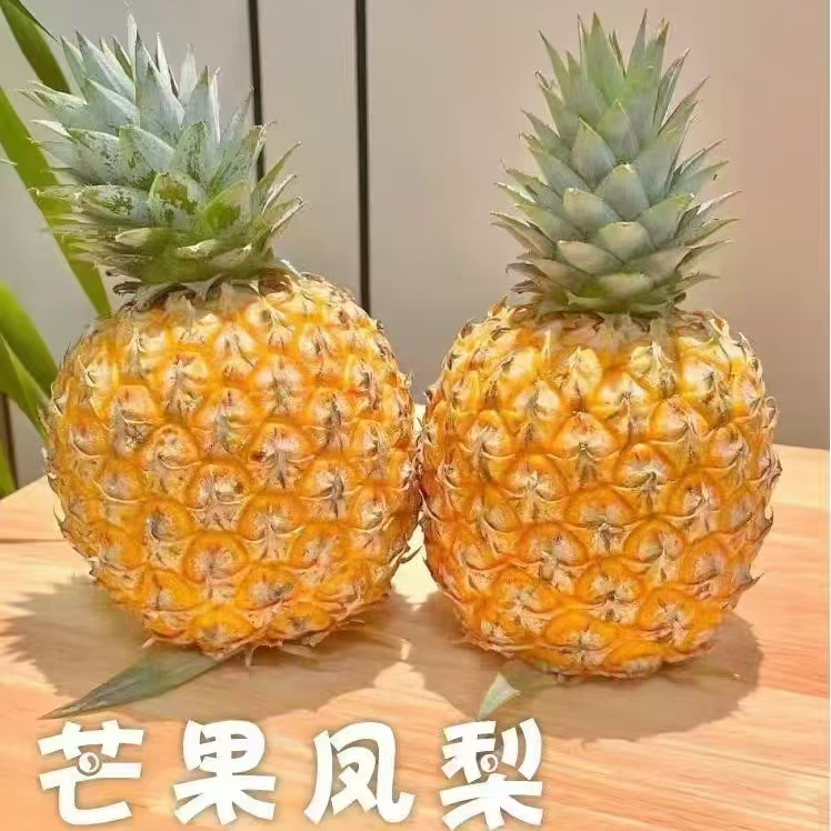 【芒果凤梨】香甜多汁树上熟海南芒果凤梨台农23号产地现摘现发