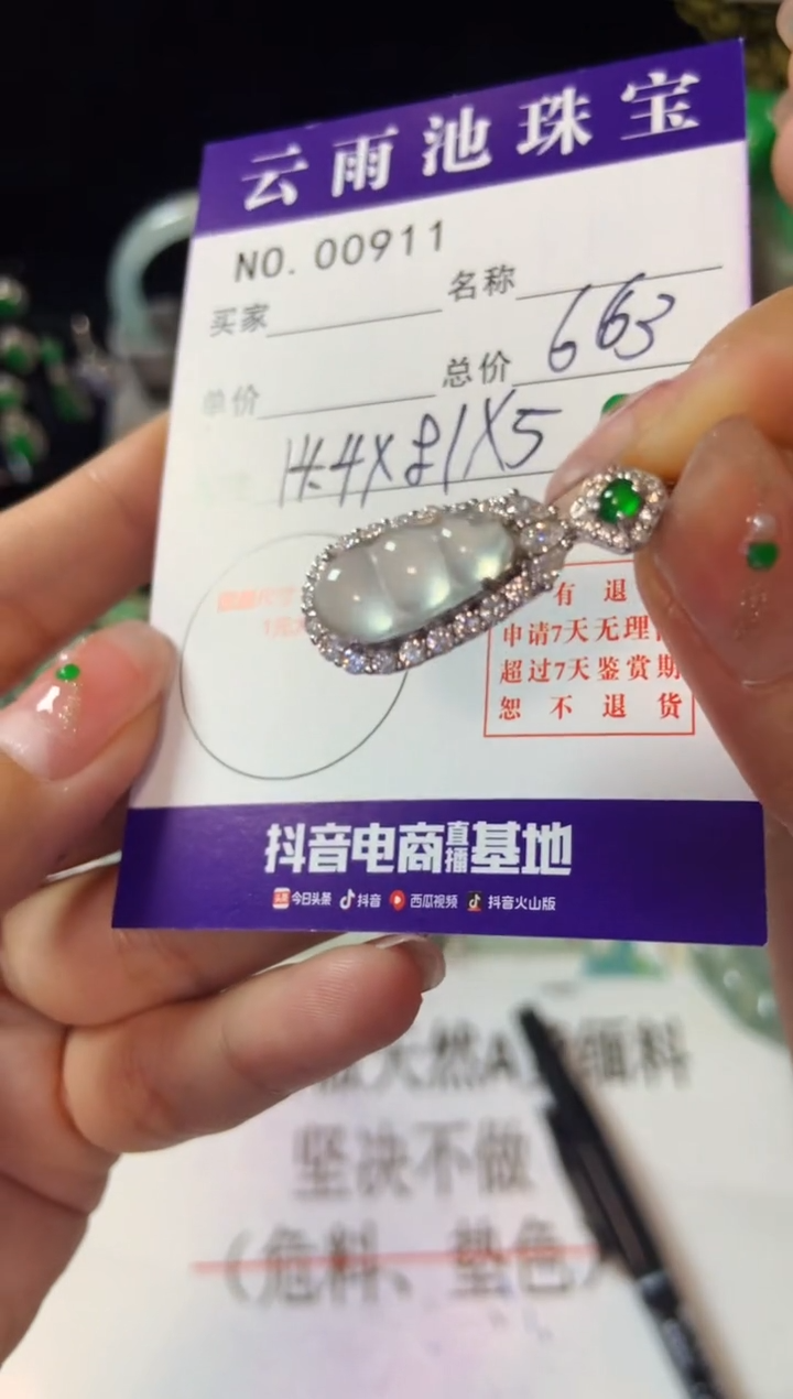 【闪购商品】翡翠颈饰银S925镶嵌翡翠