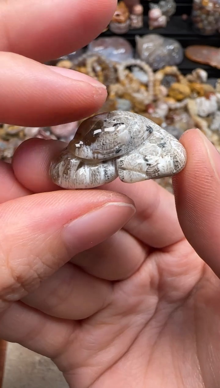 硅化珊瑚（珊瑚玉）未镶嵌颈饰266