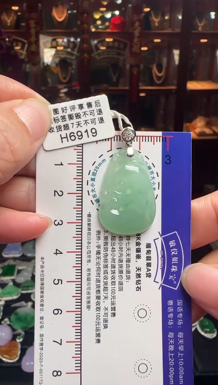 【闪购商品】翡翠颈饰18K金镶嵌H6919如意
