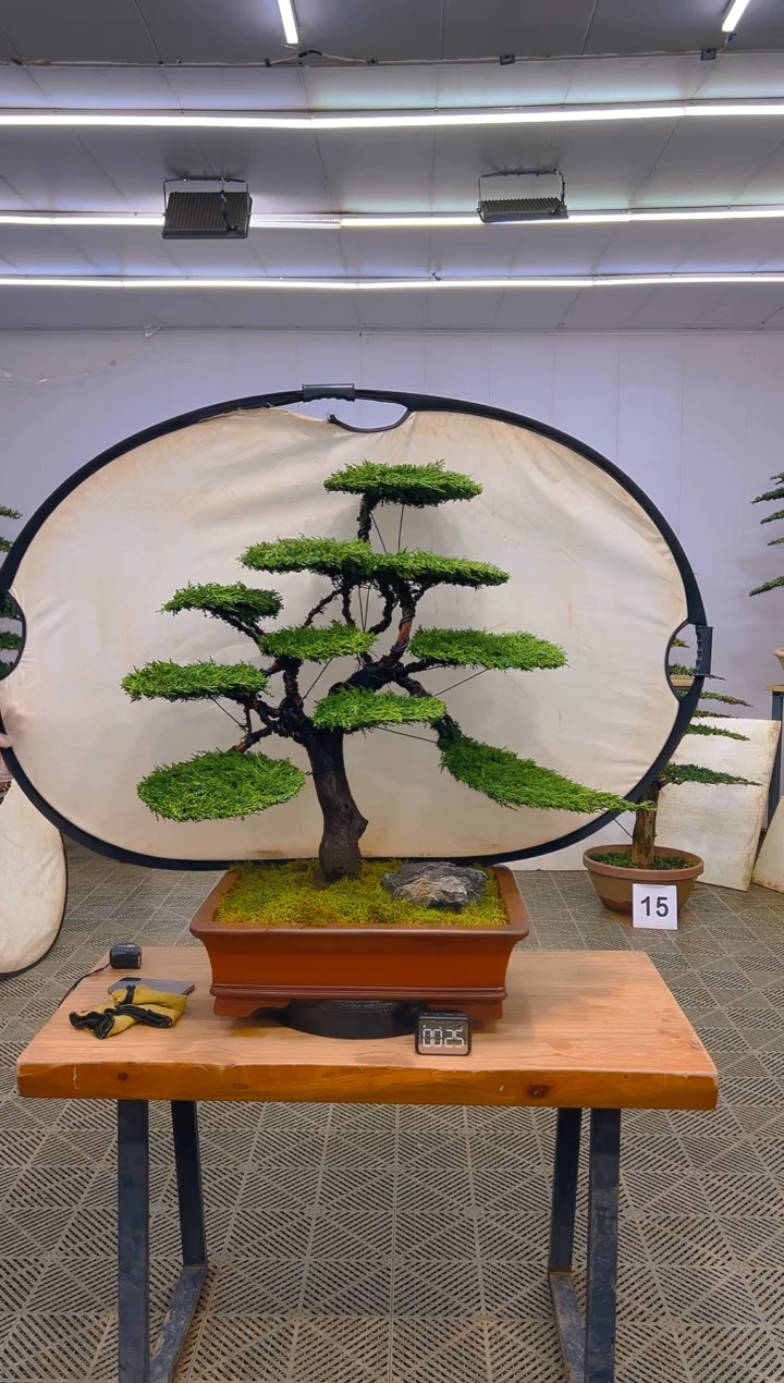 无花朵一物一拍一物一拍