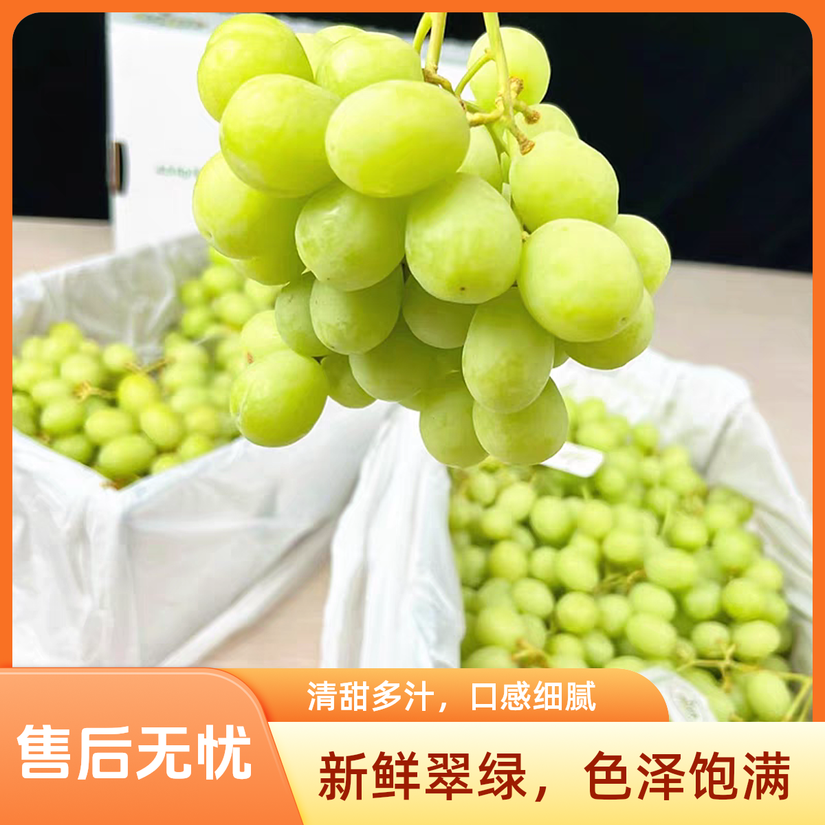 【澳洲空运甜地球】青提脆甜无籽提子进口甜地球葡萄新鲜水果包邮