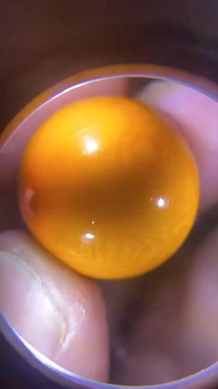 【闪购商品】瓷片闪品闪购，如图所示