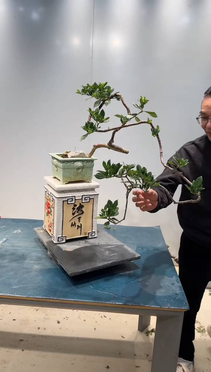 无花朵海岛春花海岛春花