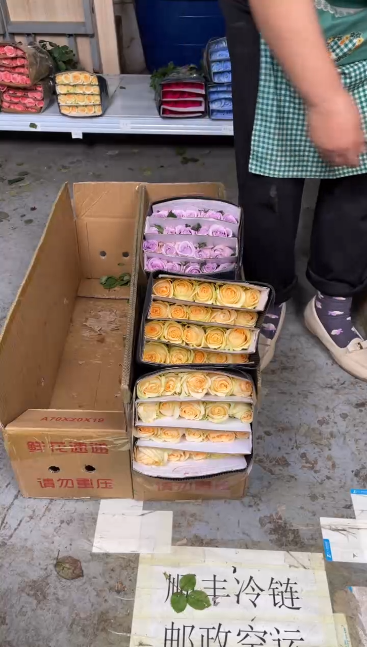 香槟2扎 +海洋之歌1扎  