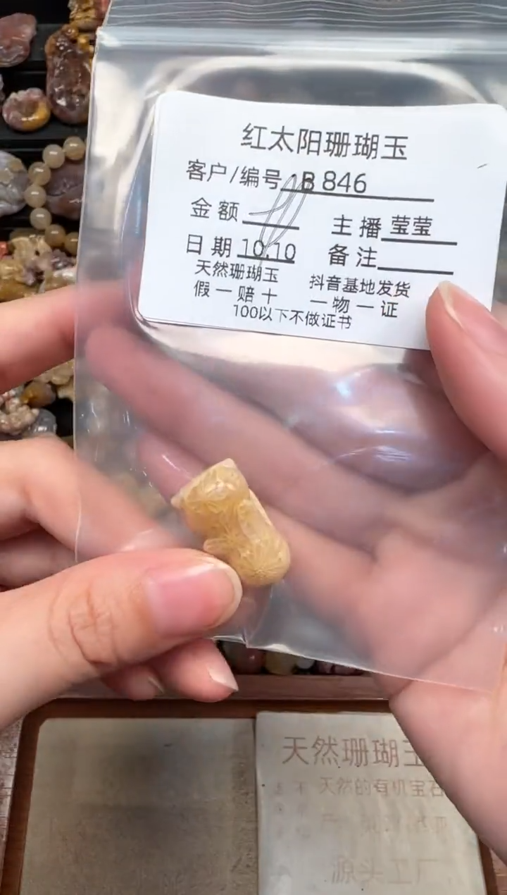 颈饰未镶嵌硅化珊瑚（珊瑚玉）不*你846