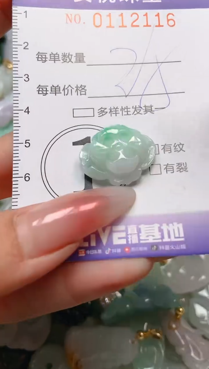 【闪购商品】翡翠颈饰未镶嵌闪购0112116