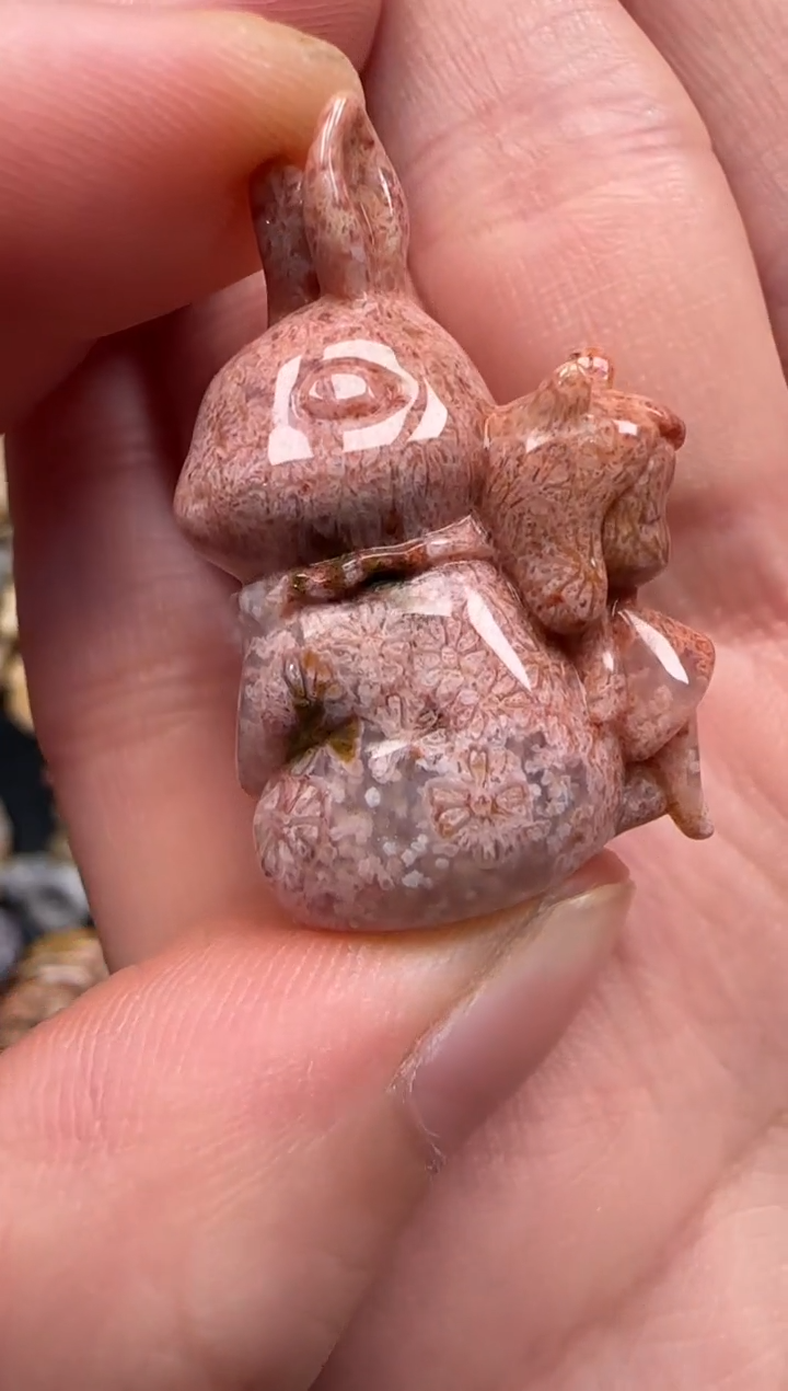 硅化珊瑚（珊瑚玉）未镶嵌颈饰512